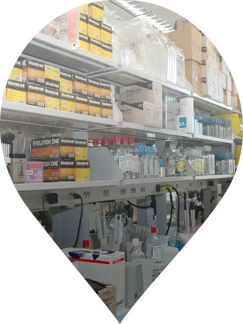 Government Procurement & Supply Services