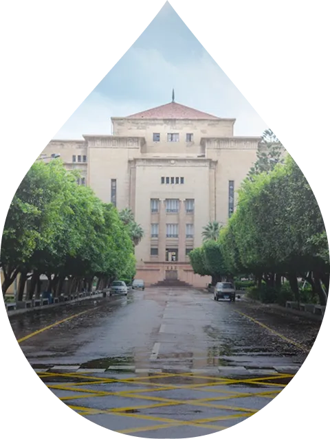 Universities And Educational Institutions